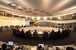Internationaler sef: Experten-Workshop 2011